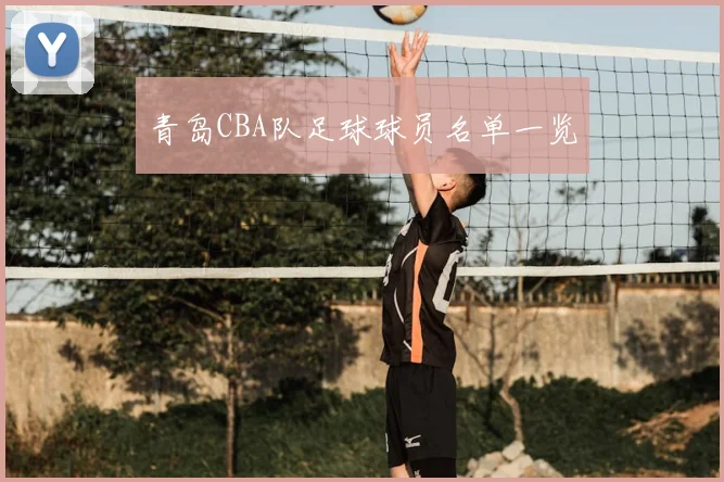 青岛CBA队足球球员名单一览