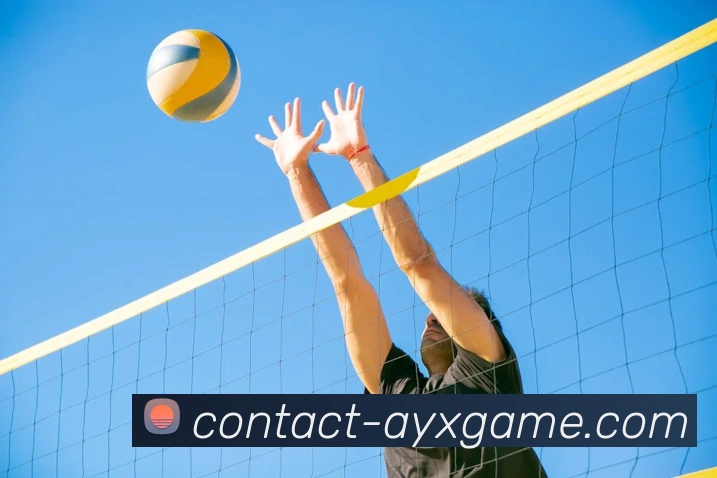 爱游戏平台生态图